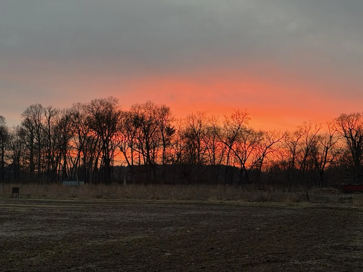 Farm Sunset