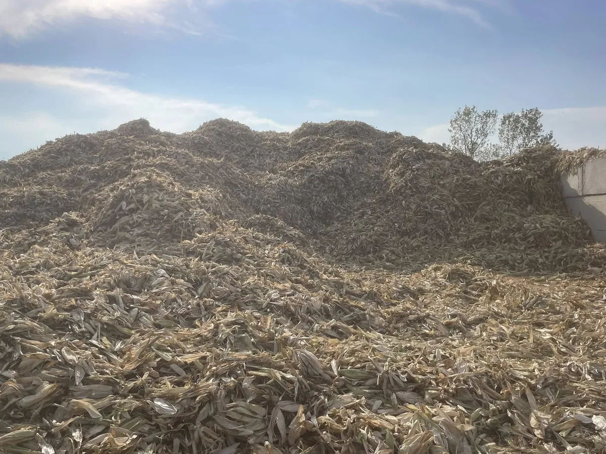 Feed Pile